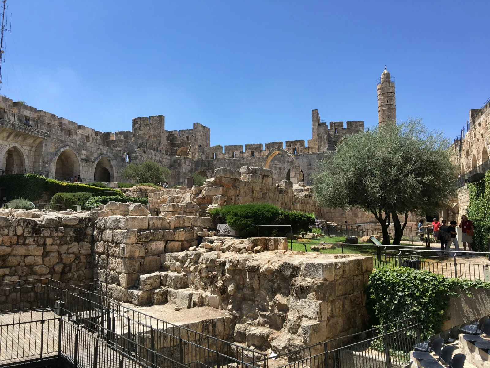 משפחת כהן
